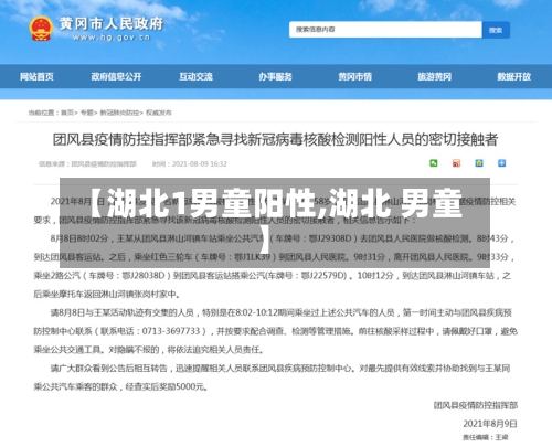 【湖北1男童阳性,湖北 男童】