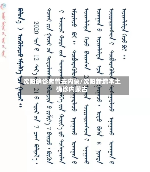 沈阳确诊者曾去内蒙/沈阳新增本土确诊内蒙古
