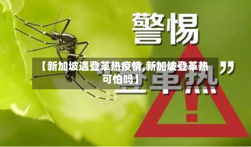【新加坡遇登革热疫情,新加坡登革热可怕吗】