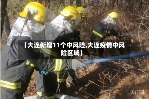 【大连新增11个中风险,大连疫情中风险区域】