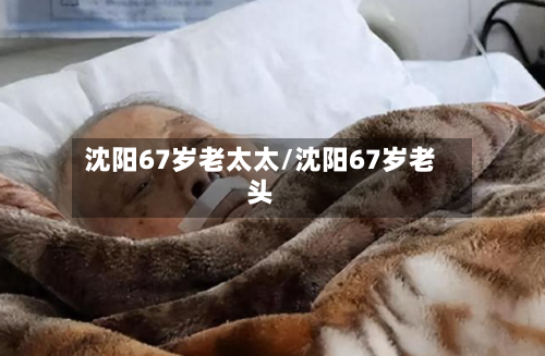 沈阳67岁老太太/沈阳67岁老头