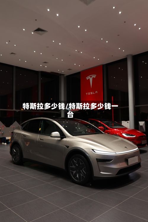 特斯拉多少钱/特斯拉多少钱一台