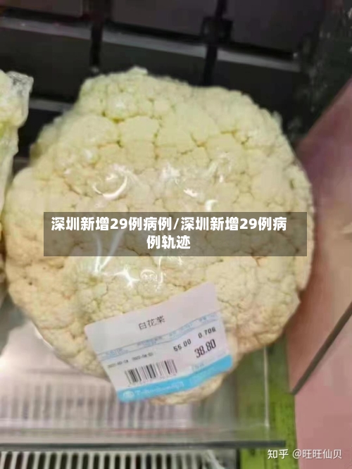 深圳新增29例病例/深圳新增29例病例轨迹